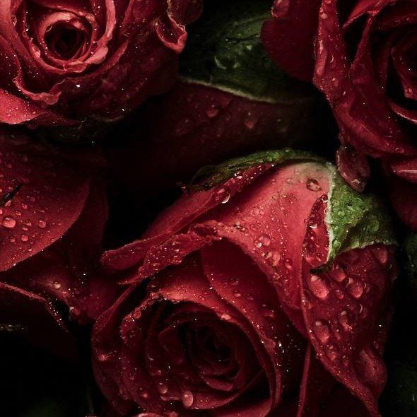 آهنگ جدید اونقده بودی اینقده شدی کوچولو بودی